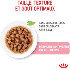 Royal Canin Kitten sauce - pâtée chaton