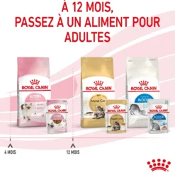 Royal Canin Kitten sauce - pâtée chaton