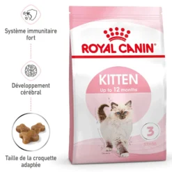 Royal Canin Kitten Second Age - croquettes chaton