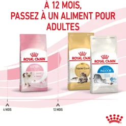 Royal Canin Kitten Second Age - croquettes chaton