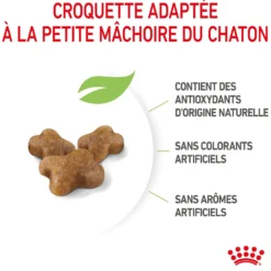 Royal Canin Kitten Second Age - croquettes chaton