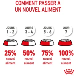 Royal Canin Kitten Sterilised - croquettes chaton