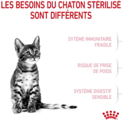 Royal Canin Kitten Sterilised - croquettes chaton