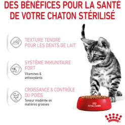 Royal Canin Kitten Sterilised gelée et sauce - pâtée chaton