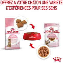 Royal Canin Kitten Sterilised gelée et sauce - pâtée chaton