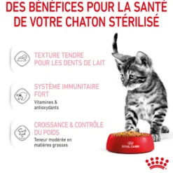 Royal Canin Kitten Sterilised gelée et sauce - pâtée chaton