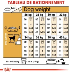 Royal Canin Labrador Retriever Adult - croquettes chien