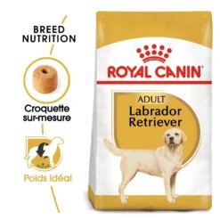 Royal Canin Labrador Retriever Adult - croquettes chien
