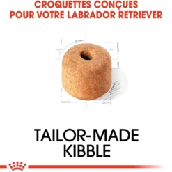 Royal Canin Labrador Retriever Adult - croquettes chien