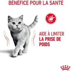 Royal Canin Light Weight Care Adult - croquettes chat