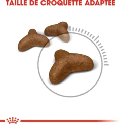 Royal Canin Light Weight Care Adult - croquettes chat