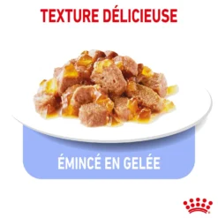 Royal Canin Light Weight Care - pâtée chat