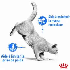 Royal Canin Light Weight Care - pâtée chat