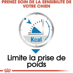 Royal Canin Light Weight Care - Pâtée pour chien