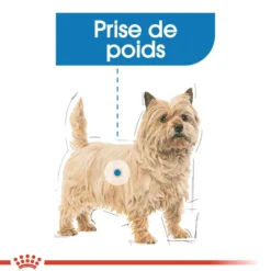 Royal Canin Light Weight Care - Pâtée pour chien