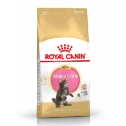 Royal Canin Maine Coon Kitten