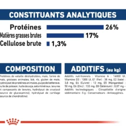 Royal Canin Maxi Adult - croquettes chien