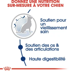 Royal Canin Maxi Ageing 8+ - Croquettes pour chien