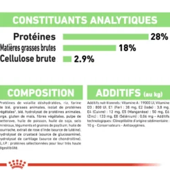 Royal Canin Maxi Digestive Care - Croquettes pour chien