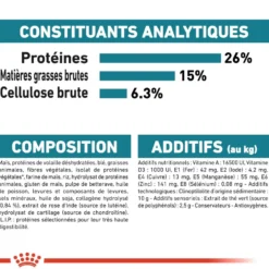 Royal Canin Maxi Joint Care - croquettes chien