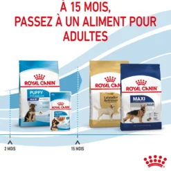 Royal Canin Maxi Puppy - Croquettes pour chiot
