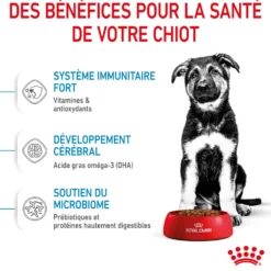 Royal Canin Maxi Puppy - Croquettes pour chiot