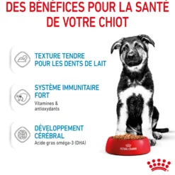 Royal Canin Maxi Puppy en sauce - pâtée chiot