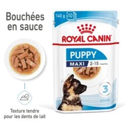 Royal Canin Maxi Puppy en sauce - pâtée chiot