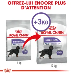 Royal Canin Maxi Sterilised - Croquettes pour chien 12kg