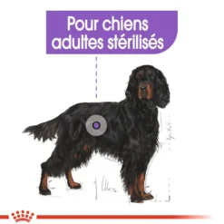 Royal Canin Maxi Sterilised - Croquettes pour chien 12kg