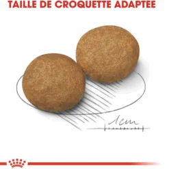 Royal Canin Medium Adult - croquettes chien