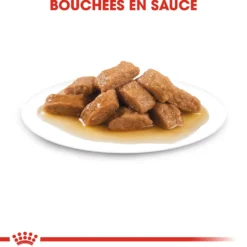 Royal Canin Medium Ageing 10+ en sauce - pâtée chien
