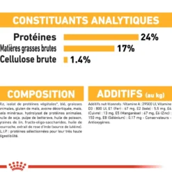 Royal Canin Medium Dermaconfort