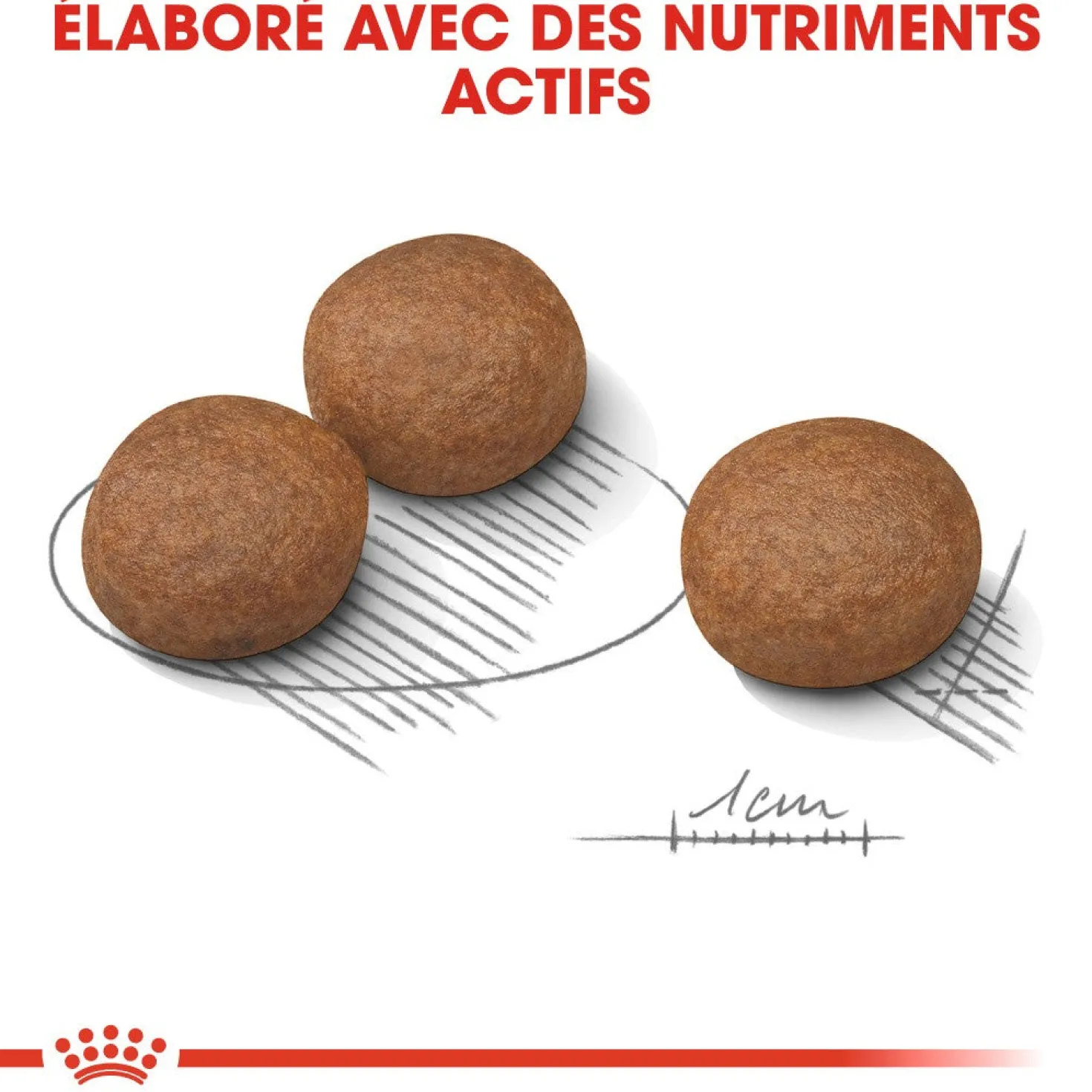 Royal Canin Medium Digestive Care - Croquettes pour chien