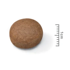 Royal Canin Medium Digestive Care - Croquettes pour chien