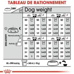 Royal Canin Medium Digestive Care - Croquettes pour chien