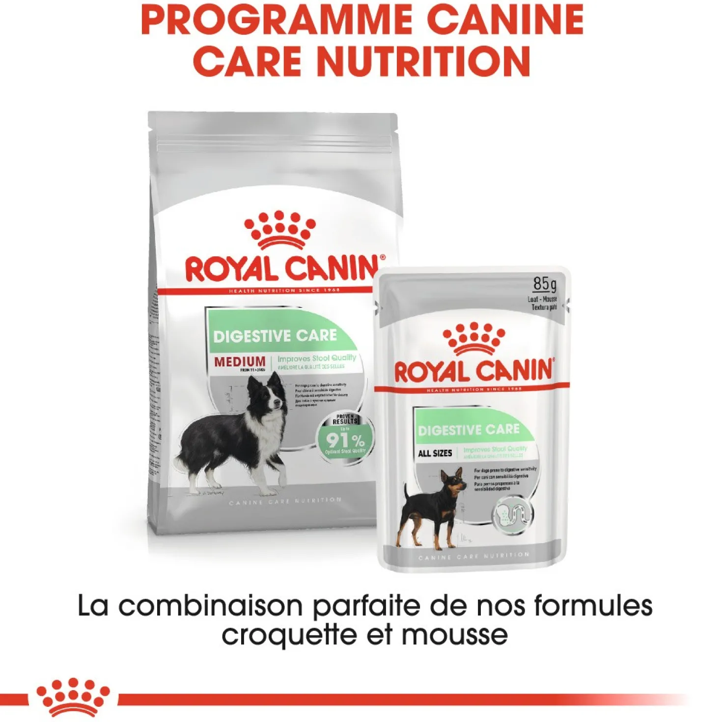 Royal Canin Medium Digestive Care - Croquettes pour chien