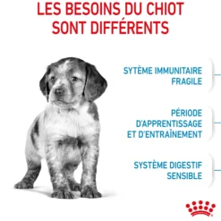 Royal Canin Medium Puppy - croquettes chiot