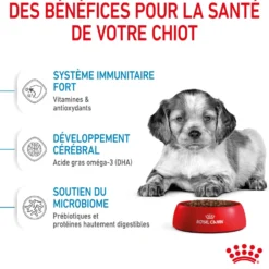 Royal Canin Medium Puppy - croquettes chiot