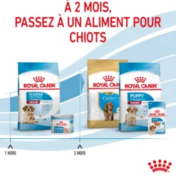 Royal Canin Medium Starter - croquettes chiot, chienne
