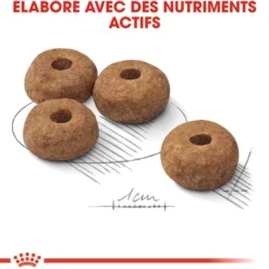 Royal Canin Medium Sterilised - Croquettes pour chien