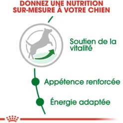 Royal Canin Mini Adult 8+ - croquettes chien