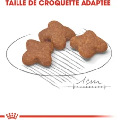 Royal Canin Mini Adult 8+ - croquettes chien