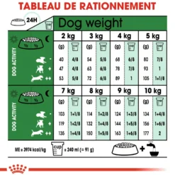 Royal Canin Mini Adult 8+ - croquettes chien