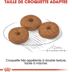 Royal Canin Mini Ageing 12+ - croquettes chien