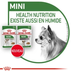 Royal Canin Mini Ageing 12 - pâtée chien