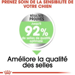 Royal Canin Mini Digestive Care - Croquettes pour chien