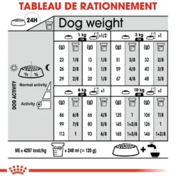 Royal Canin Mini Digestive Care - Croquettes pour chien