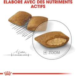Royal Canin Mini Exigent - croquettes chien