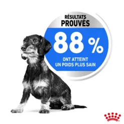 Royal Canin Mini Light Weight Care - Croquettes pour chien